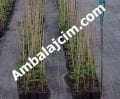 TABAN YER ÖRTÜSÜ 300 m2 LİK